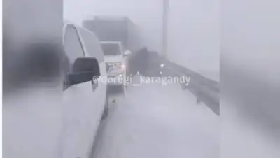 кадр из видео, фото - Новости Zakon.kz от 12.01.2021 17:56