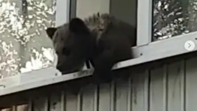 Instagram, фото - Новости Zakon.kz от 10.05.2019 19:45