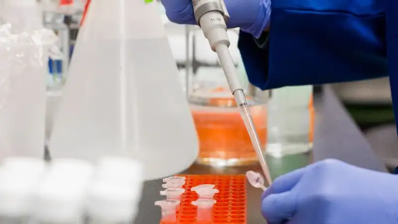 Названо растительное вещество, которое сможет защитить легкие при COVID-19