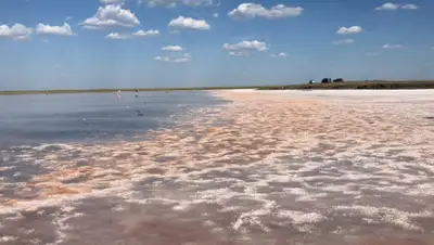 zakon.kz, фото - Новости Zakon.kz от 23.07.2020 14:05