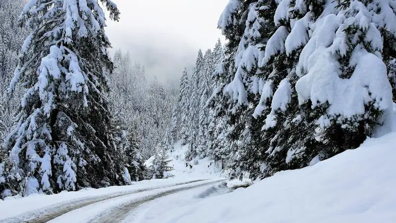 Синоптики рассказали, какой будет погода в Казахстане 29 ноября