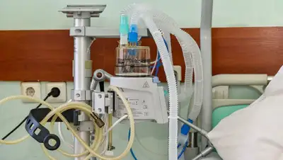 24kz, фото - Новости Zakon.kz от 08.05.2020 08:40