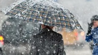 Zakon.kz, фото - Новости Zakon.kz от 11.03.2017 12:00