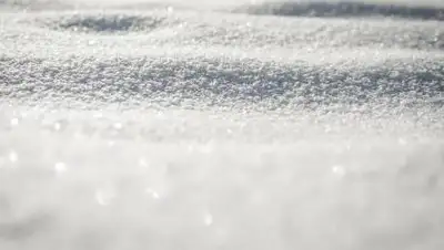 pixabay.com, фото - Новости Zakon.kz от 06.02.2021 19:19