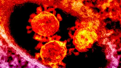 gazeta.ru, фото - Новости Zakon.kz от 21.08.2020 13:54