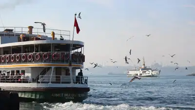 pixabay, фото - Новости Zakon.kz от 28.03.2019 06:00