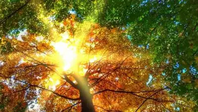 pxhere.com, фото - Новости Zakon.kz от 29.09.2021 12:02