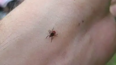 Zakon.kz, фото - Новости Zakon.kz от 11.04.2017 19:25