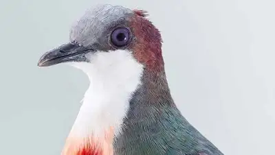 Zakon.kz, фото - Новости Zakon.kz от 26.10.2017 17:42