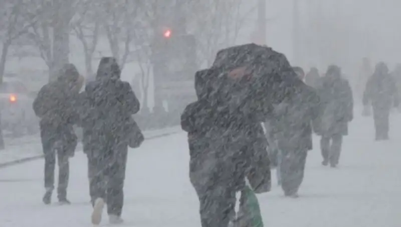 В школах Нур-Султана отменили занятия
