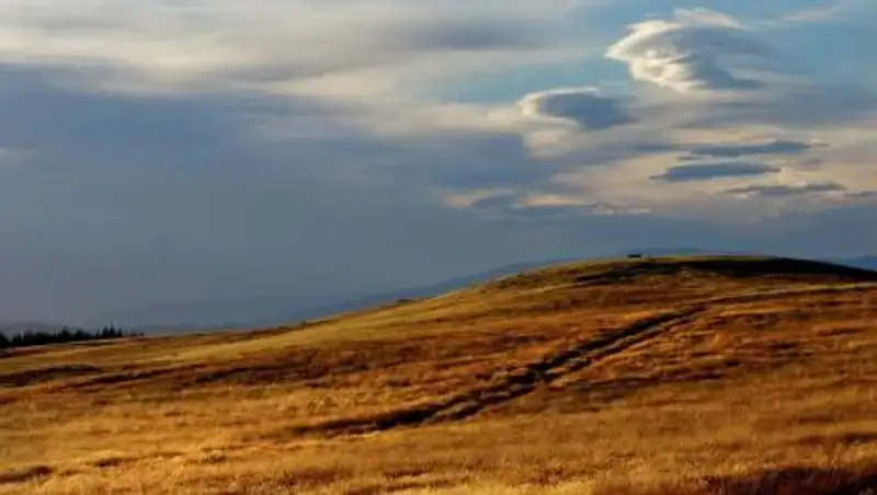 Пропавших братьев нашли мертвыми в Павлодарской области