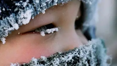 Zakon.kz, фото - Новости Zakon.kz от 04.12.2014 15:33