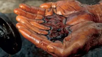 Zakon.kz, фото - Новости Zakon.kz от 02.06.2016 19:10