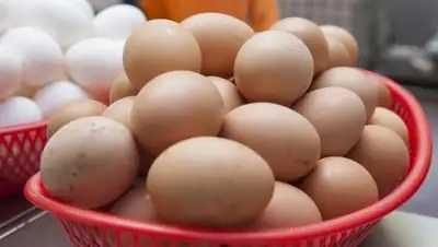 mir24.tv, фото - Новости Zakon.kz от 09.10.2018 23:15