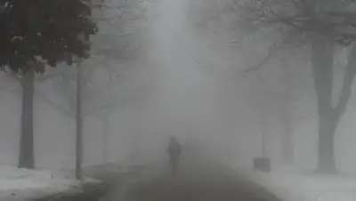 belnovosti, фото - Новости Zakon.kz от 26.11.2020 06:00