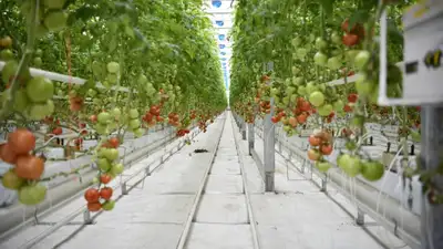 Zakon.kz, фото - Новости Zakon.kz от 19.11.2021 21:22