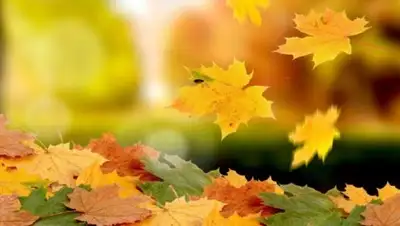 timepress.kz, фото - Новости Zakon.kz от 18.09.2018 09:30