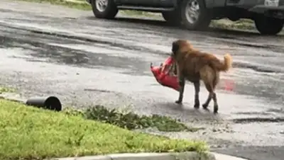 Zakon.kz, фото - Новости Zakon.kz от 28.08.2017 07:21