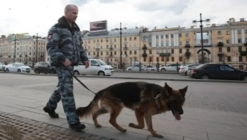 В жилом доме в Петербурге обезвредили взрывное устройство