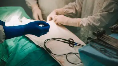 user.vse42.ru, фото - Новости Zakon.kz от 06.01.2020 16:10