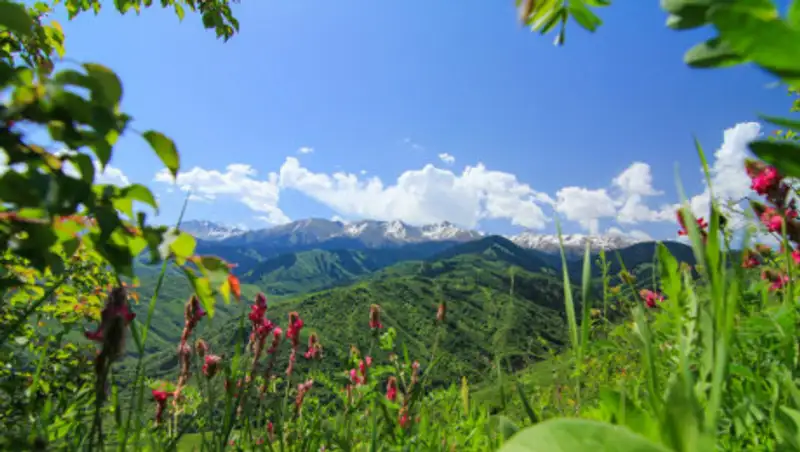 14 августа лишь на юге Казахстана ожидается погода без осадков