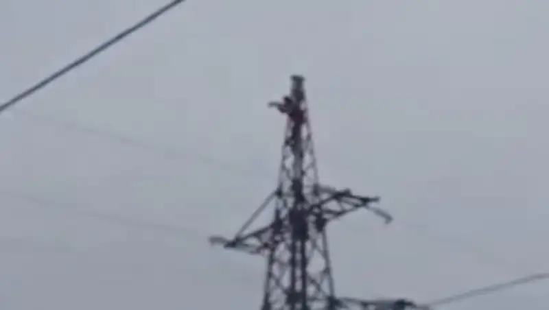 В Щучинске мужчина забрался на линию электропередач из-за девушки