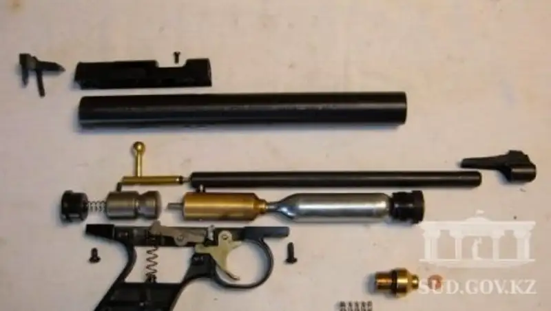 В Алматы осудили "горе-снайпера", стрелявшего по кошкам