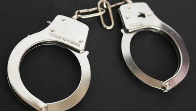 Александр Емельяненко задержан в Москве