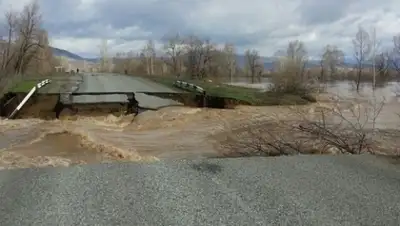 Zakon.kz, фото - Новости Zakon.kz от 12.05.2015 13:38