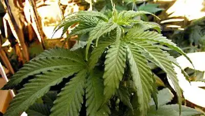 Zakon.kz, фото - Новости Zakon.kz от 08.01.2014 22:30