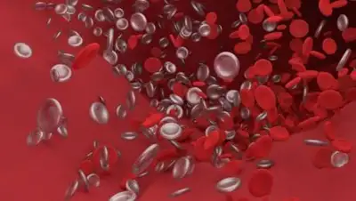 online47, фото - Новости Zakon.kz от 10.06.2021 08:49