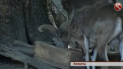 Zakon.kz, фото - Новости Zakon.kz от 25.06.2015 06:16