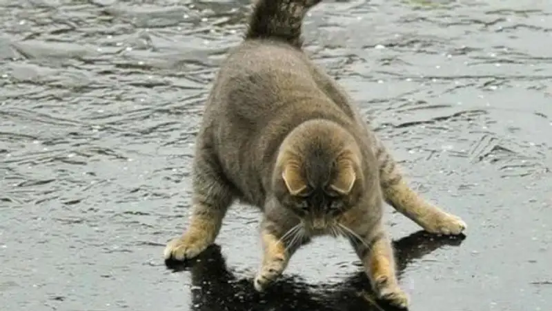 Дороги и тротуары в Актобе превратятся в катки