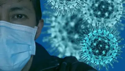 pixabay.com, фото - Новости Zakon.kz от 22.07.2020 16:13