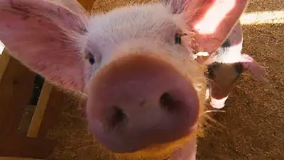 Zakon.kz, фото - Новости Zakon.kz от 18.10.2016 15:18