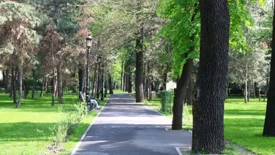 весна, парк , фото - Новости Zakon.kz от 13.05.2022 15:13