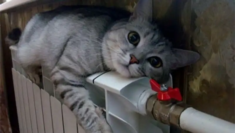 Есть ли смысл судиться с поставщиками из-за холодных батарей и воды?