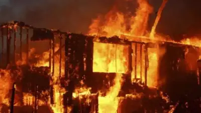 Polisia.kz., фото - Новости Zakon.kz от 03.02.2020 03:00