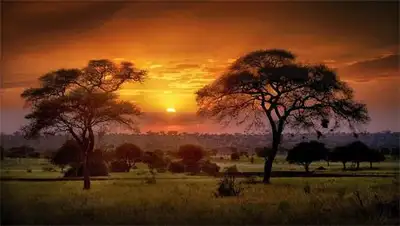 Zakon.kz, фото - Новости Zakon.kz от 17.08.2014 21:35