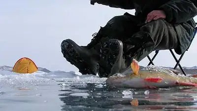 Zakon.kz, фото - Новости Zakon.kz от 25.11.2013 15:47