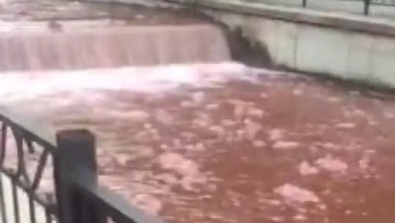 Стали известны результаты исследования красной воды в Алматинке