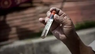 Zakon.kz, фото - Новости Zakon.kz от 12.08.2016 23:12