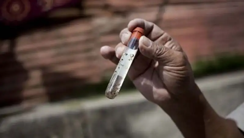 На Тайване выявлен пятый "завозной" случай вируса Зика