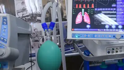 myseldon.com, фото - Новости Zakon.kz от 23.07.2020 20:03