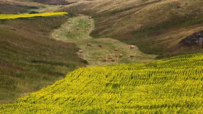 В Казахстане утвердили предельные размеры земельных участков сельхозназначения , фото - Новости Zakon.kz от 01.02.2023 12:38