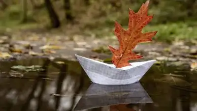 pixabay.com, фото - Новости Zakon.kz от 27.09.2021 11:39