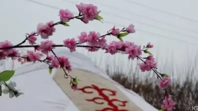 otyrar.kz, фото - Новости Zakon.kz от 22.03.2018 09:11