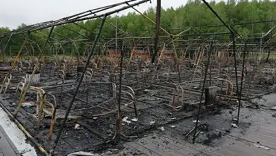 МЧС России, фото - Новости Zakon.kz от 24.07.2019 07:20