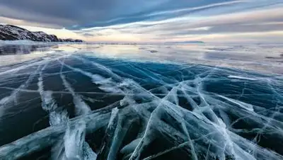 Сергей Пестерев/unsplash, фото - Новости Zakon.kz от 12.01.2021 11:32