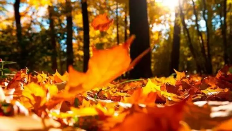 Отопительный сезон в Шымкенте начнется раньше запланированного